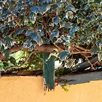 Antiche Dimore Del Vescovado Landhaus